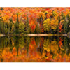 Natuur - Diamond Painting
