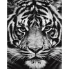 Tijger zwart/wit - Diamond Painting
