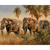 Groep olifanten - Diamond Painting