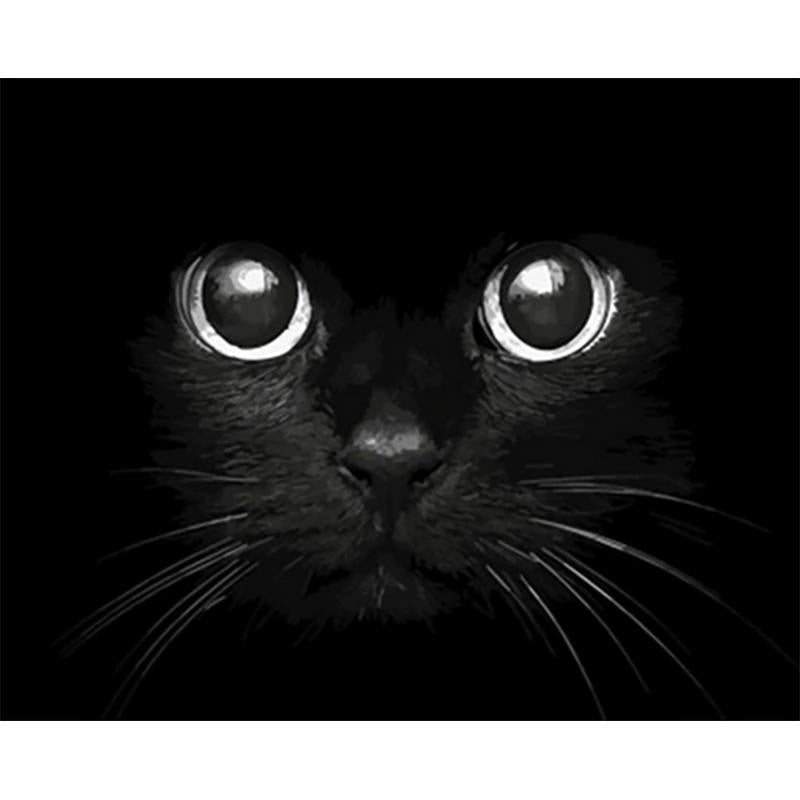 Zwarte kat dichtbij - Diamond Painting