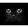 Zwarte kat dichtbij - Diamond Painting