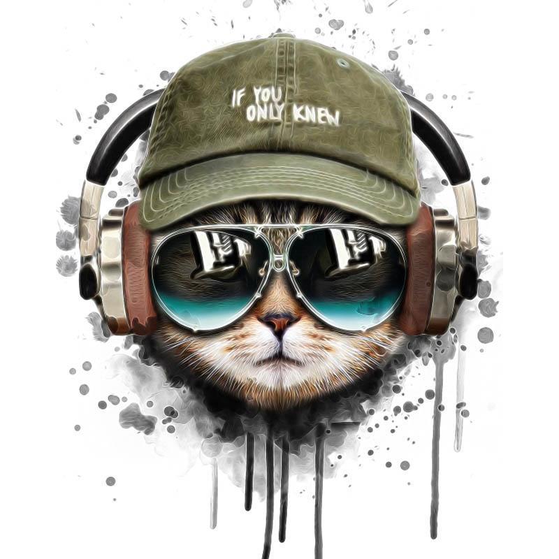 Coole kat met koptelefoon - Diamond Painting