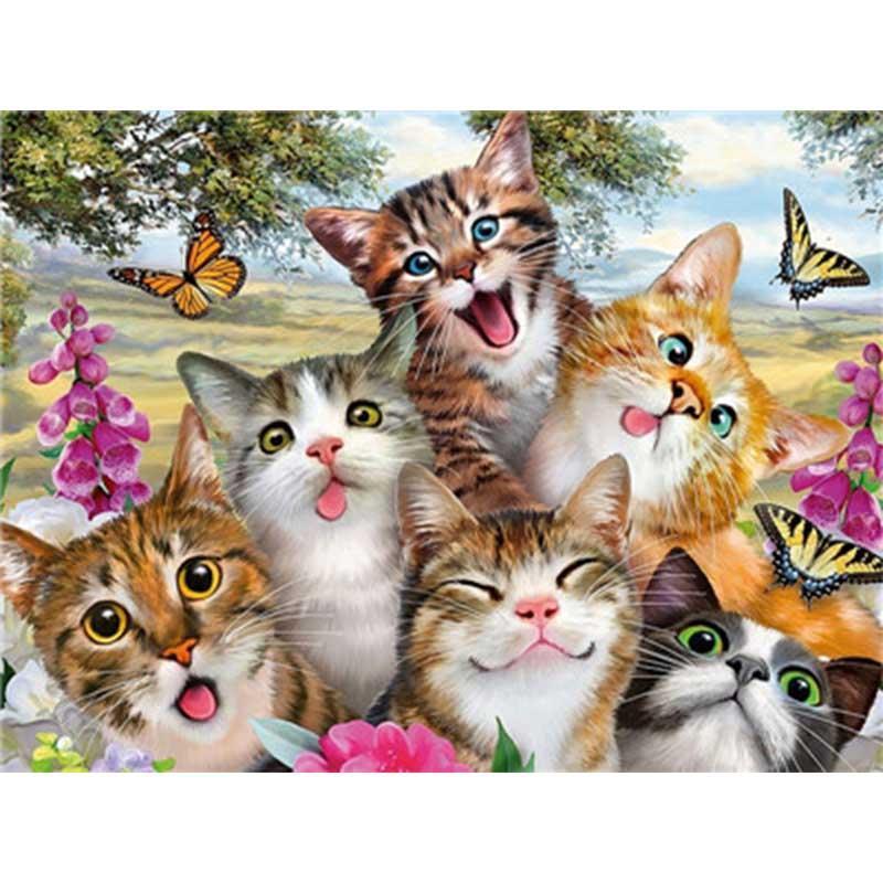 Gekke kattengezichten - Diamond Painting