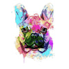 Kleurrijke Frenchie - Diamond Painting