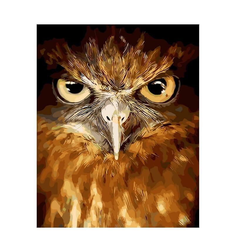 Uilengezicht - Diamond Painting