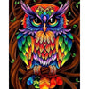 Vrolijke uil - Diamond Painting