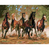 Galopperende paarden - Diamond Painting