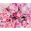 Roze Pioenrozen - Diamond Painting