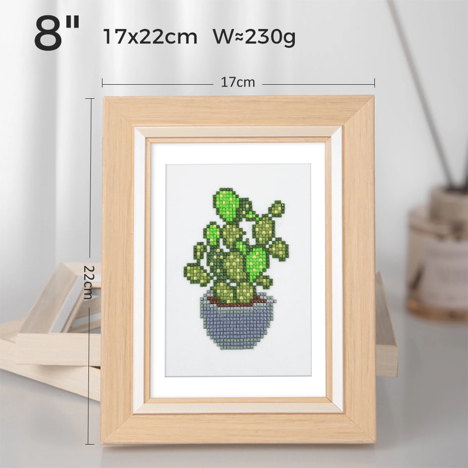 Lijst voor Mini Diamond Painting | 22x17cm