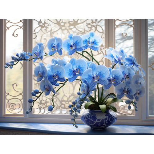 Blauwe orchideeën