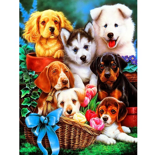 Puppy's