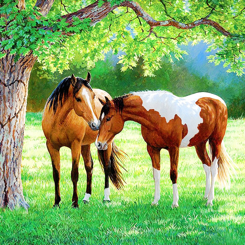 Paarden In Wei | Diamond Painting