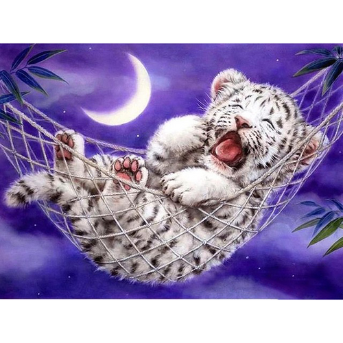Witte Tijger In Hangmat