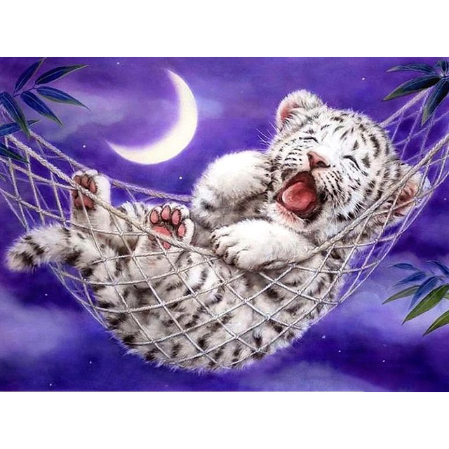 Witte Tijger In Hangmat