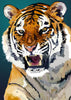 Tijger | Exclusieve Diamond Painting