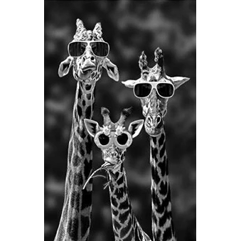 Giraffen