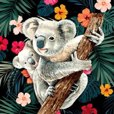 Koala