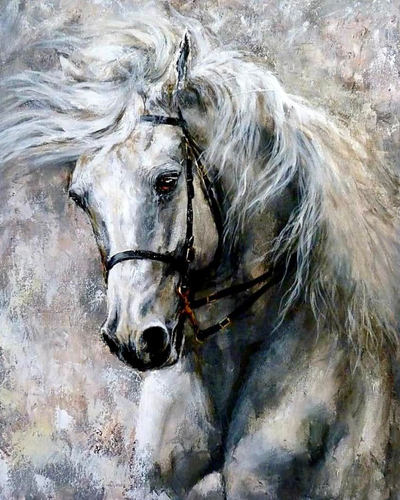 Paard