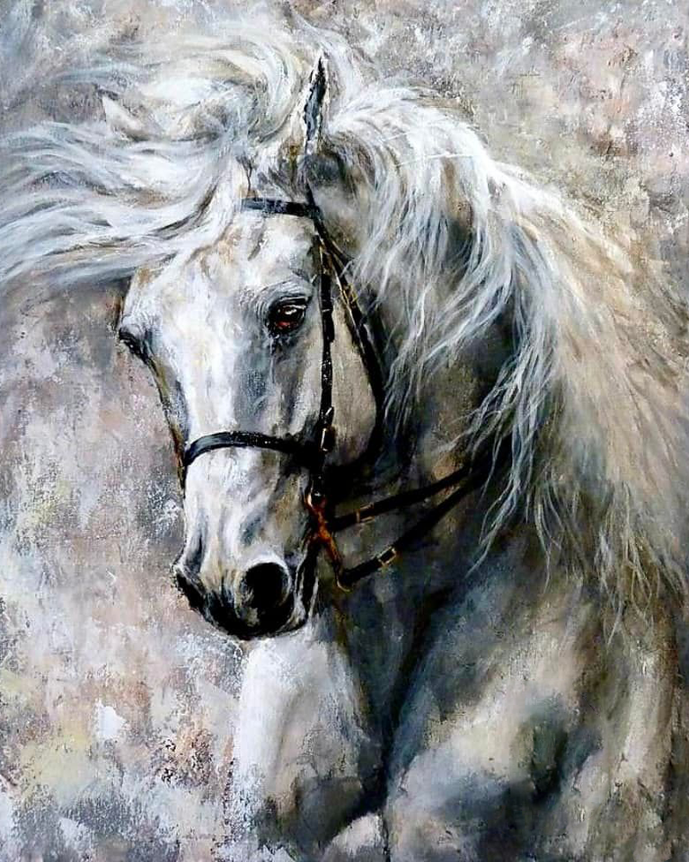 Paard