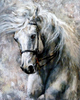 Paard
