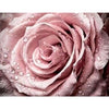 Roze Roos | Diamond Painting