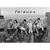 F.R.I.E.N.D.S