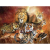Wilde Dieren