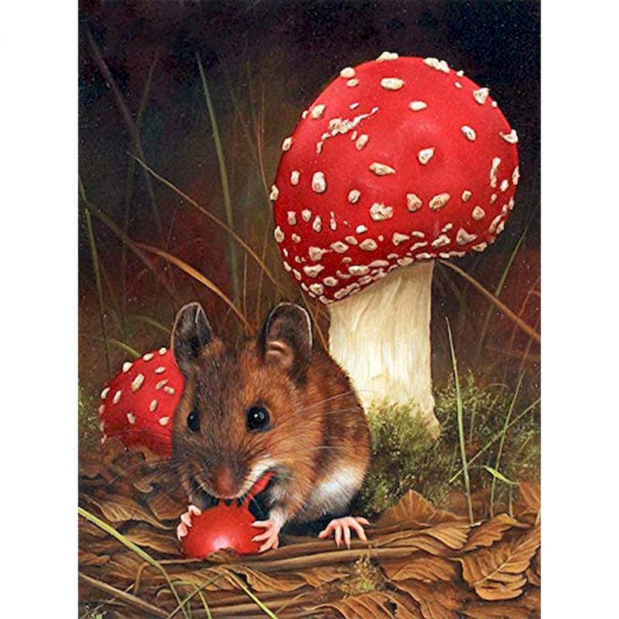 Muis - Paddenstoel