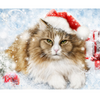 Kat | Diamond Painting