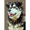 Bordercollie | Exclusieve Diamond Painting