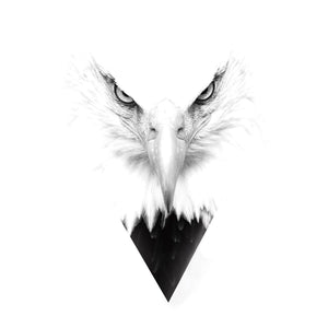 Arend | Diamond Painting