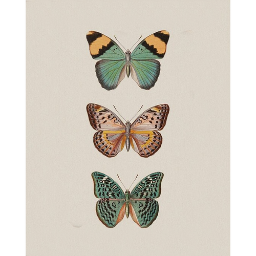 Vlinders | Diamond Painting