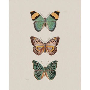 Vlinders | Diamond Painting