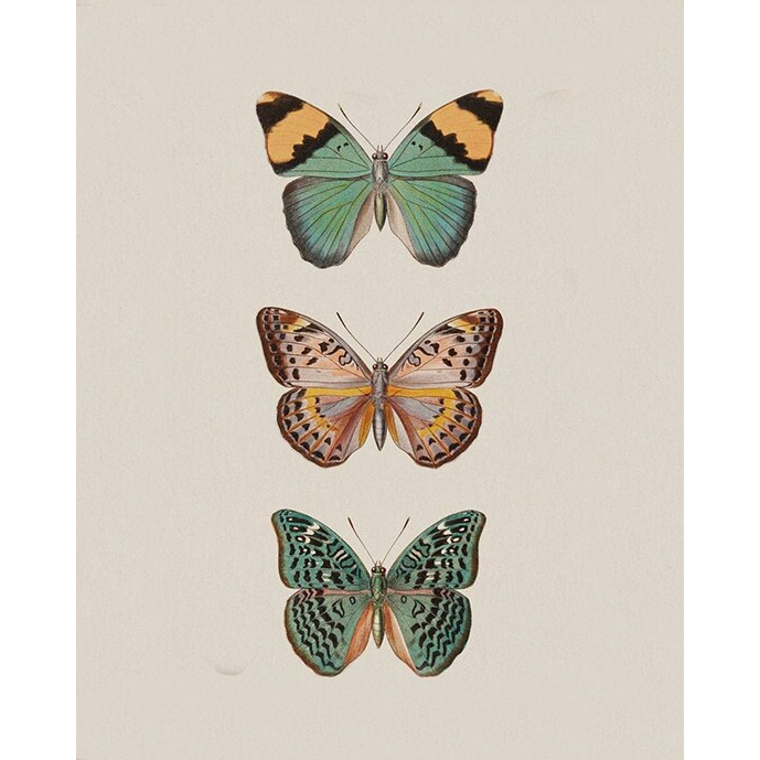 Vlinders | Diamond Painting