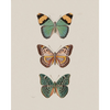 Vlinders | Diamond Painting