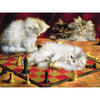 Katten - Schaken | Diamond Painting