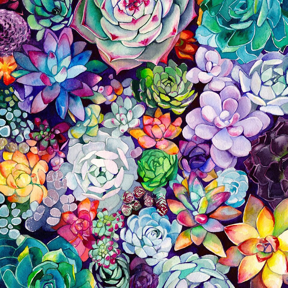 Kleurrijke Vetplanten | Diamond Painting