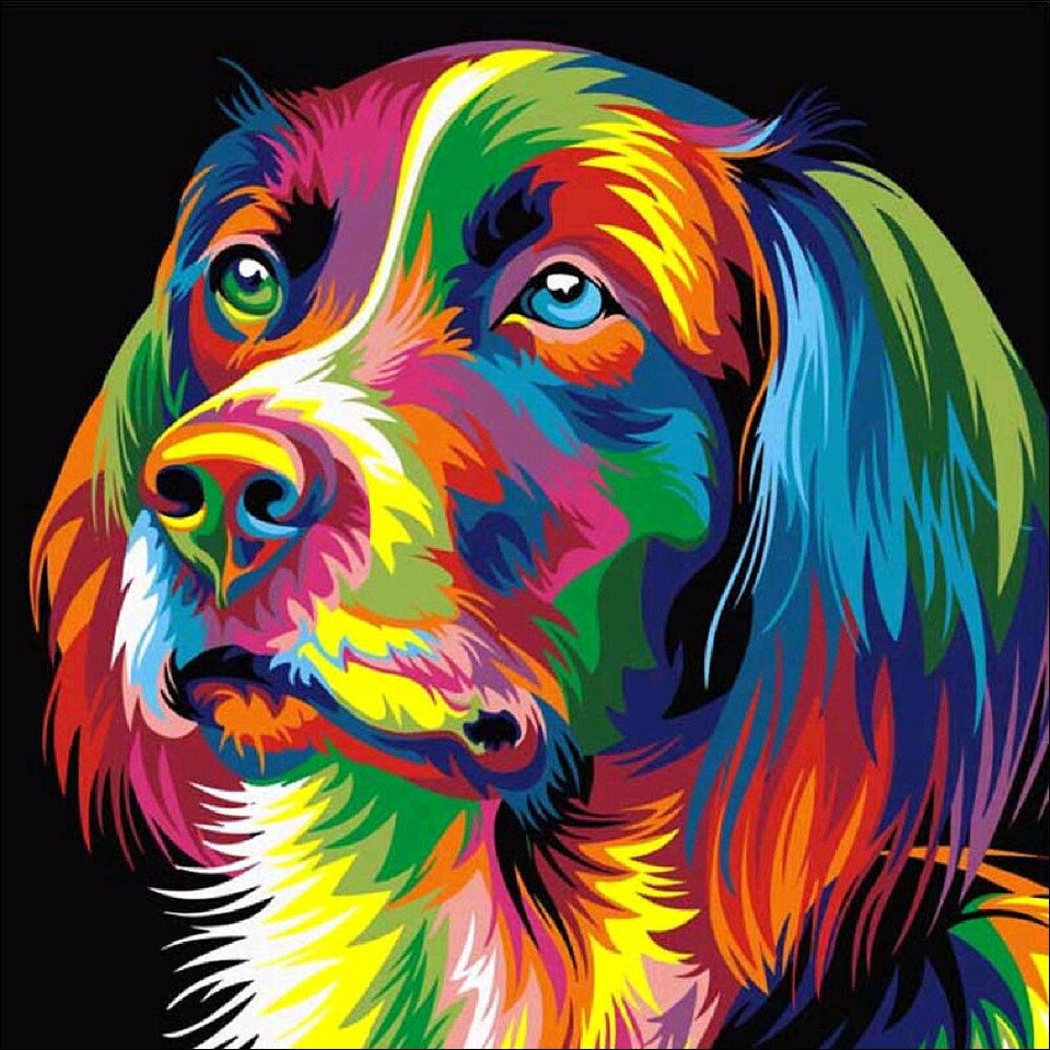 Gekleurde Engelse Springerspaniël | Diamond Painting