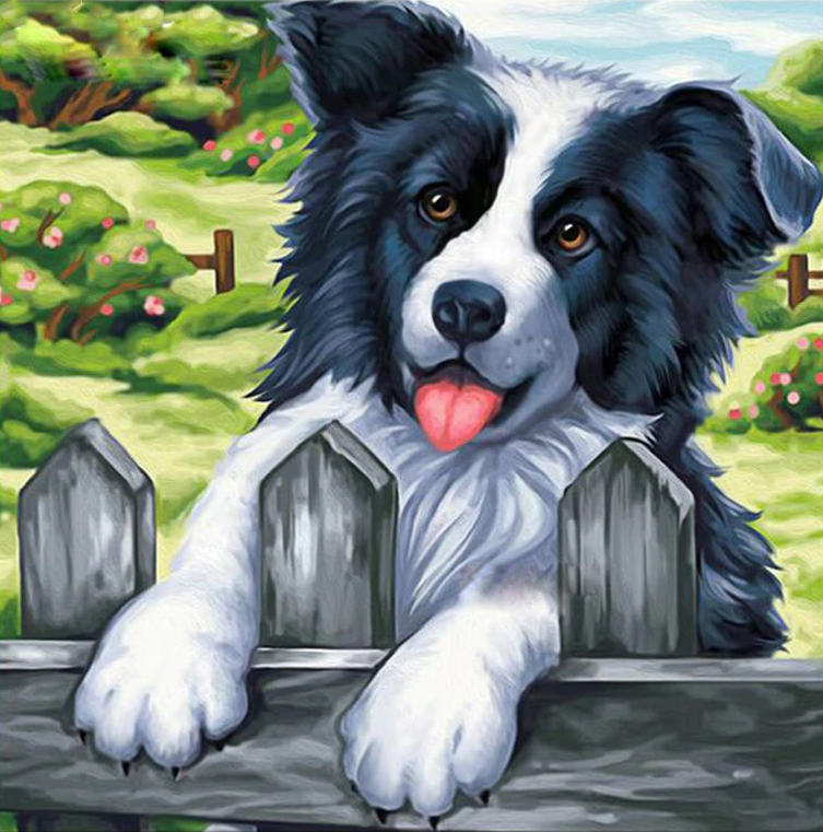 Bordercollie | Diamond Painting