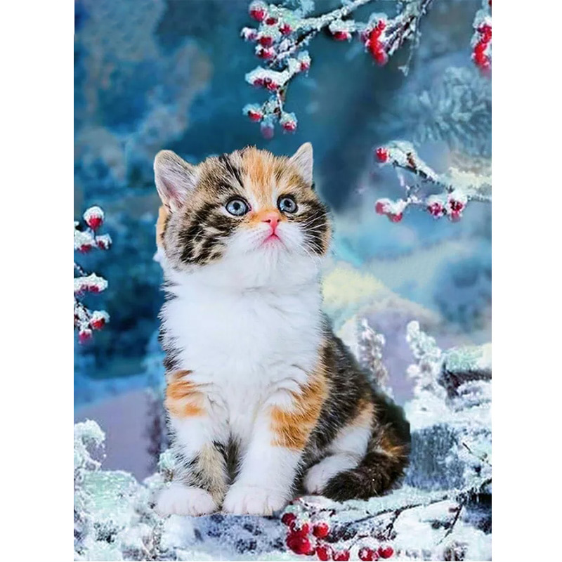 Kitten