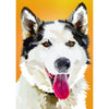 Husky | Exclusieve Diamond Painting