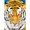 Tijger | Exclusieve Diamond Painting