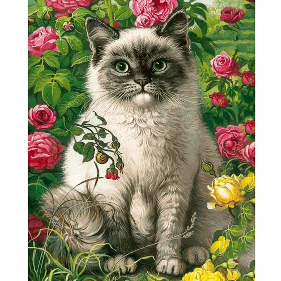Kat