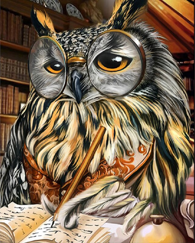 Wijze Uil | Diamond Painting