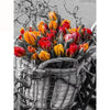 Tulpen In Mand