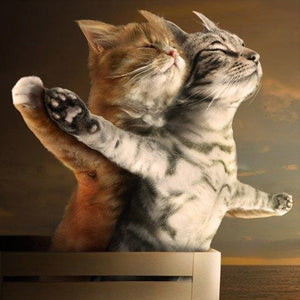 Katten Titanic | Diamond Painting