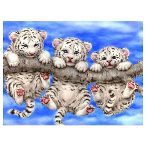 3 Witte Tijger Welpjes | Diamond Painting