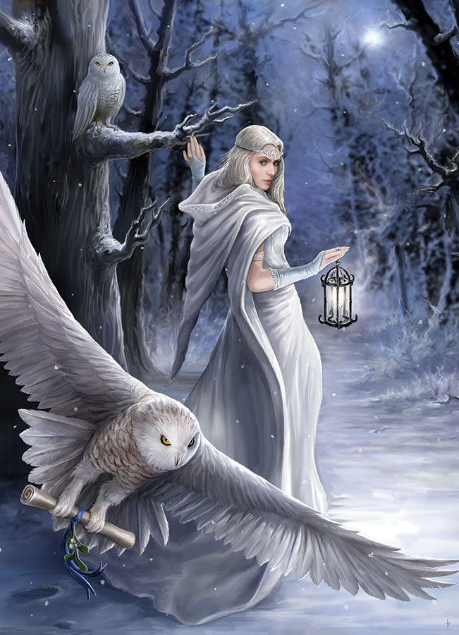 Vrouw - Sneeuwuil | Diamond Painting
