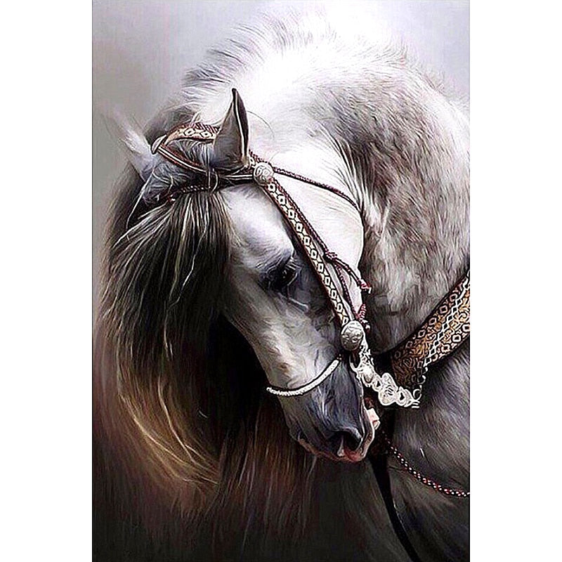 Paard | Diamond Painting