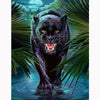 Zwarte Panter | Diamond Painting